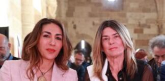 Cinema, Amata: “Verrà stilato manifesto per indicare i correttivi, istituzionalizzare Stati generali”