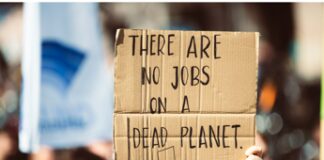 Climate quitting: di cosa si tratta?
