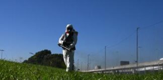 Dengue, Oms Europa: “In Italia oltre 100 casi da inizio anno”