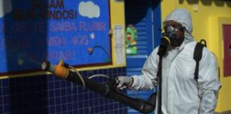 Dengue, oltre mille morti in Brasile nel 2024: è record storico Dengue, oltre mille morti in Brasile nel 2024: è record storico