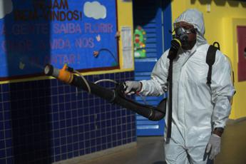 Dengue, oltre mille morti in Brasile nel 2024: è record storico Dengue, oltre mille morti in Brasile nel 2024: è record storico