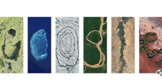 Doodle di Google di oggi per la Giornata della Terra 2024
