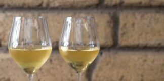 Enogastronomia, Cibus, anteprima migliori vini italiani con mozzarella di bufala campana Dop
