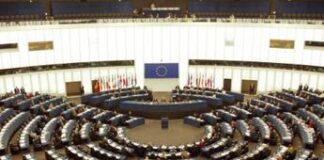 Europee Olanda, maggioranza dei seggi alla destra: Id e Renew ne conquistano 7 ciascuno