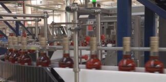 Fantacchiotti: “Campari brand in forte crescita nel segno sostenibilità”