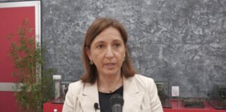 Farmaci, Campagnoli (Gsk): “Mepolizumab efficace in 4 patologie con alterazione eosinofili”