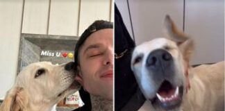 Ferragni, Fedez e l’amore per Paloma: segnali di ‘disgelo’ tra i due?