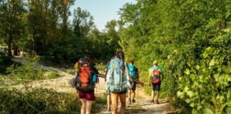 Fidenza palcoscenico urbano del Festival Via Francigena, dall’11 al 14 aprile