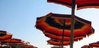 Frutta e yogurt, il pranzo perfetto in spiaggia per il medico