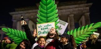Germania legalizza ‘parzialmente’ la cannabis: cosa si potrà fare Germania legalizza parzialmente la cannabis: cosa si potrà fare