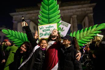 Germania legalizza parzialmente la cannabis: cosa si potrà fare