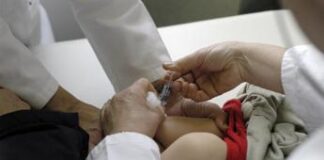 Giornata meningite, D’Avino (Fimp): “Può essere letale in bimbi e adolescenti”