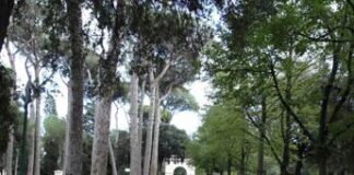 Giornata salute donna, il 22 screening gratuiti della Lilt nel cuore di Roma