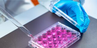 I nani superlongevi dell’Ecuador hanno il cuore protetto, lo studio