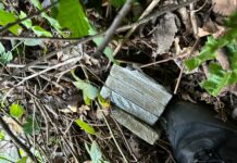 Torrebelvicino, arrestato spacciatore 22enne con mezzo chilo di Hashish Polizia Locale: scoperto nascondiglio hashish a Torrebelvicino