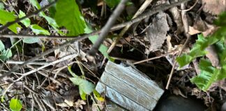 Torrebelvicino, arrestato spacciatore 22enne con mezzo chilo di Hashish Polizia Locale: scoperto nascondiglio hashish a Torrebelvicino