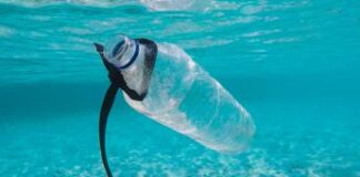 Inquinamento, stop alla plastica monouso