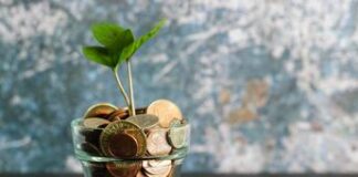 Investimenti ESG in netta crescita negli ultimi 5 anni