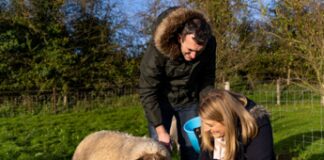 L’Irlanda cerca amici della natura, vitto e alloggio in cambio di aiuto