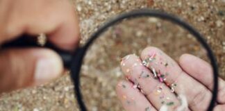L’invasione delle microplastiche: trovate in 100% campioni sperma e di 8 tipi diversi