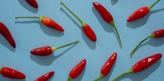 L’ortofrutta fa bene, è sostenibile ed è trendy