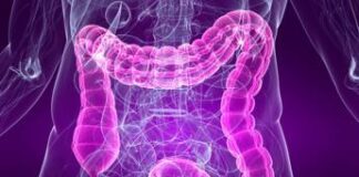 Medicina, sindrome intestino irritabile e sistema cardiovascolare sono legati