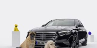 Mercedes MBUX Bark Assist: l’assistente vocale per gli amici a quattro zampe