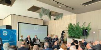 Mezzogiorno, Confindustria Palermo: “Zes unica? Perplessità su solo 1,8 mld per intero Sud”