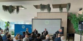 Mezzogiorno, Romano (Noi Moderati): “Deve essere motore e non zavorra in Europa”