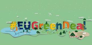 Mobilità del Futuro, Green Deal Europeo e Sostenibilità