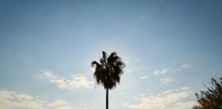 Naufraghi in un atollo del Pacifico, si salvano grazie a un ‘help’ sulla spiaggia