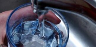 Norovirus nell’acqua tra Lombardia e Trentino: “Approfondimenti, ma no emergenza”