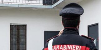 Padova, 83enne aggredita dai suoi 5 cani: le amputano le braccia