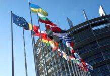 Parlamento europeo approvato il declassamento del lupo