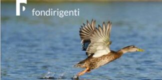 Presentato da Fondirigenti il Catalogo della formazione manageriale d’eccellenza 2023