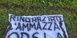 “Ringraziate l’ammazza orsi”, danni per 60mila euro alla vigna dei familiari di Fugatti