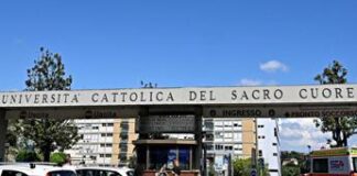 Roma, bimba morsa da cane alla testa e a un braccio