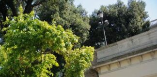 Roma, ragazza cade da terrazza del Pincio: volo di 5 metri