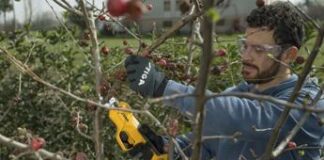 SC 100e Kit di Stiga: la recensione delle forbici da potatura