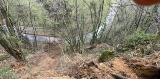 Gran lavoro per Vi.Abilità dopo le piogge: due strade chiuse e due aperte a senso unico alternato per frane e colate detritiche Gran lavoro per i tecnici di Vi.Abilità sulle strade provinciali in seguito a frane. Nella foto, la SP65 Tretto