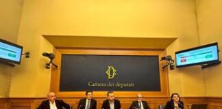 Salute, Ordine psicologi: “Dopo sedute bonus per paziente migliora qualità di vita’