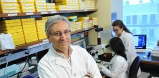 Scienziato italiano negli Usa: “Aiuti fiscali per far tornare i medici? Serve molto di più”