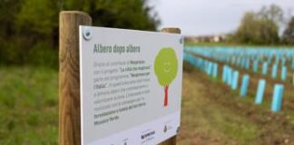 Sostenibilità, a Pradamano nasce un nuovo bosco urbano di 1.000 piante