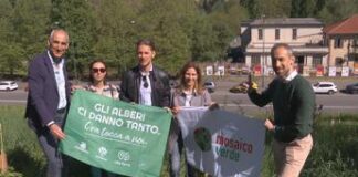 Sostenibilità: forestazione urbana, 750 nuove piante nel quartiere Parella di Torino