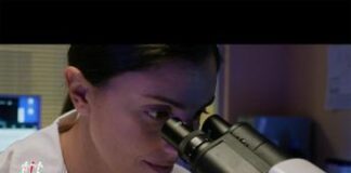 Tumori: Ail, nuova campagna per un futuro senza neoplasie del sangue