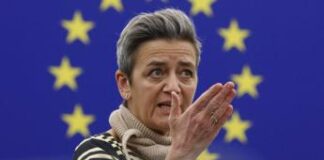 Verstager: “Il G7 vuole regole del gioco chiare per le tecnologie pulite”