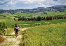 Berici Climbs, il parco cicloturistico più grande d’Italia. Zecchinato (Lega-LV): “Il Vicentino strategico per il turismo su due ruote” Berici Climbs, il parco cicloturistico più grande d'Italia
