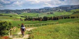 Berici Climbs, il parco cicloturistico più grande d’Italia. Zecchinato (Lega-LV): “Il Vicentino strategico per il turismo su due ruote” Berici Climbs, il parco cicloturistico più grande d'Italia