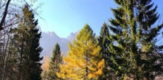 Le valli dell’energia pulita, un mese di incontri ed escursioni tra Valdagno e Recoaro Le valli dell'energia pulita, un mese di incontri e passeggiate tra Valdagno e Recoaro