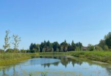 Parco della Pace, Giovanni Ottomano (FDI): “Sindaco Possamai e assessore Zilio si assumano la responsabilità dei ritardi” Un'immagine del Parco della Pace